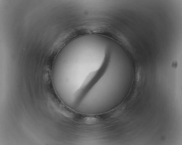 X0000110680169200906261329