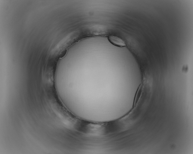 X0000110680170200906261329