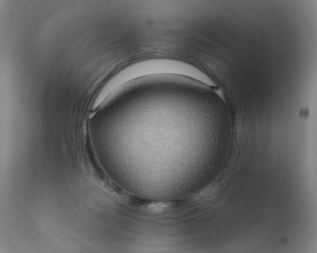 X0000110680172200906261329