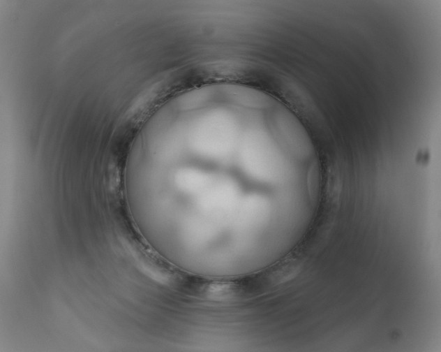 X0000110680173200906261329