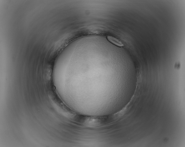 X0000110680174200906261329