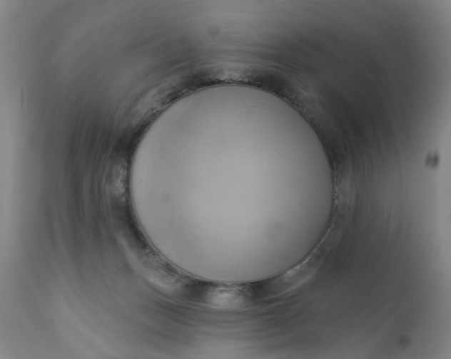 X0000110680175200906261329