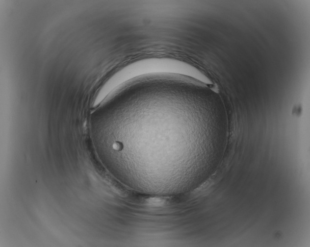 X0000110680176200906261329