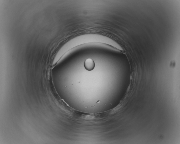 X0000110680180200906261329