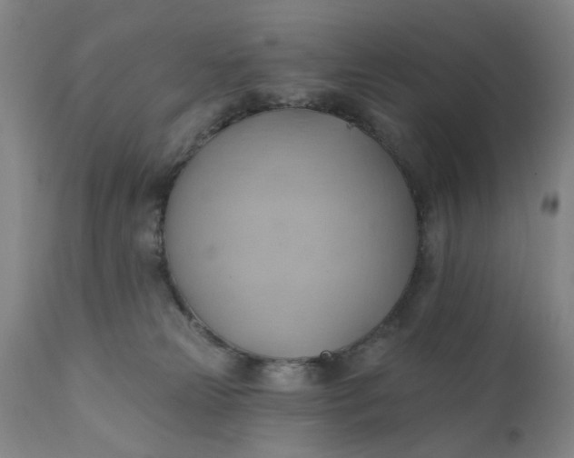 X0000110680181200906261329