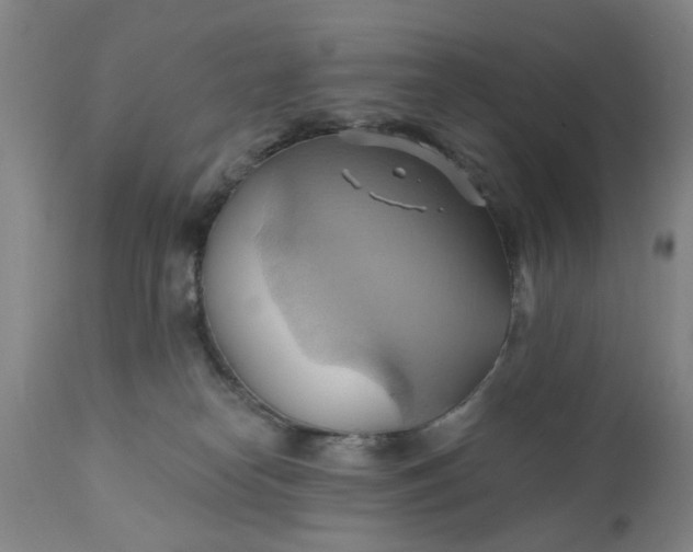 X0000110680182200906261329