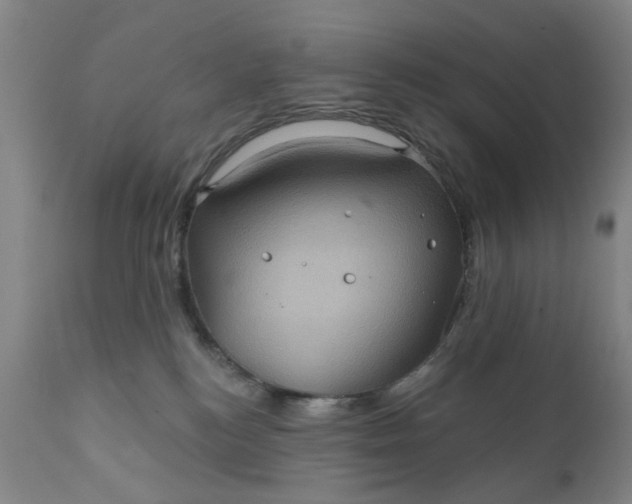 X0000110680184200906261329