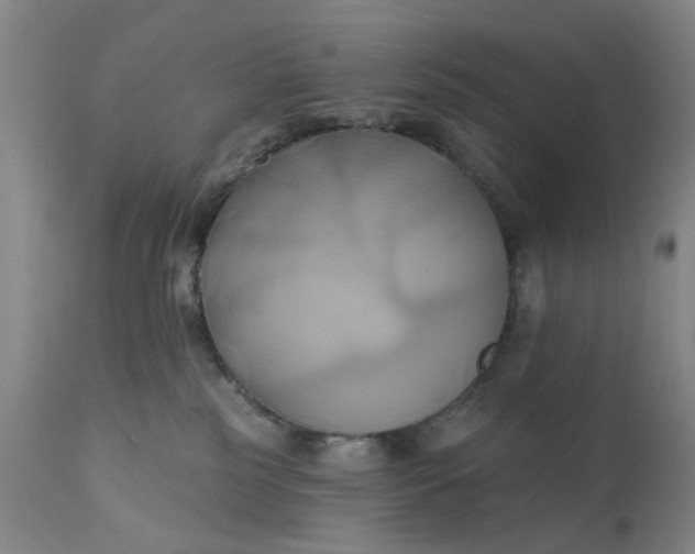 X0000110680185200906261329