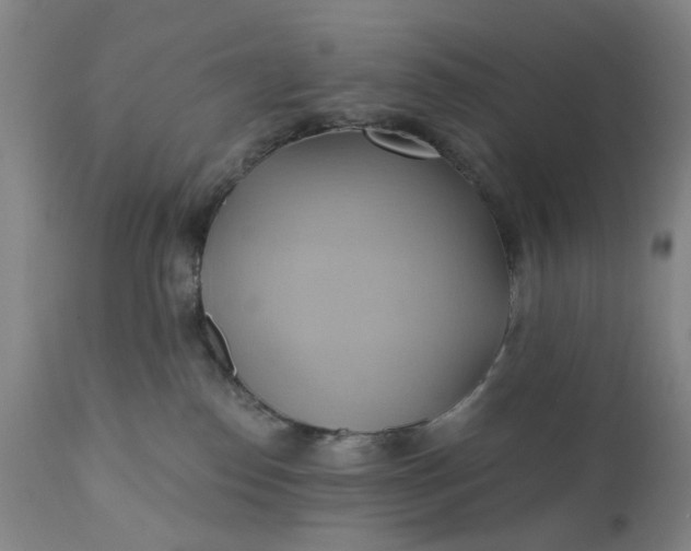 X0000110680186200906261329