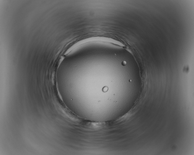 X0000110680188200906261329