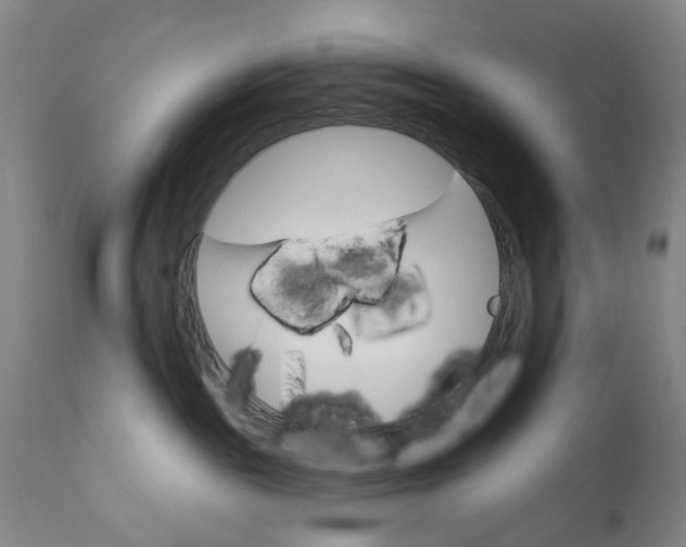 X0000110680189200906261329