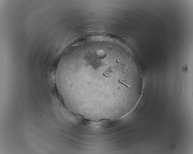 X0000110680190200906261329