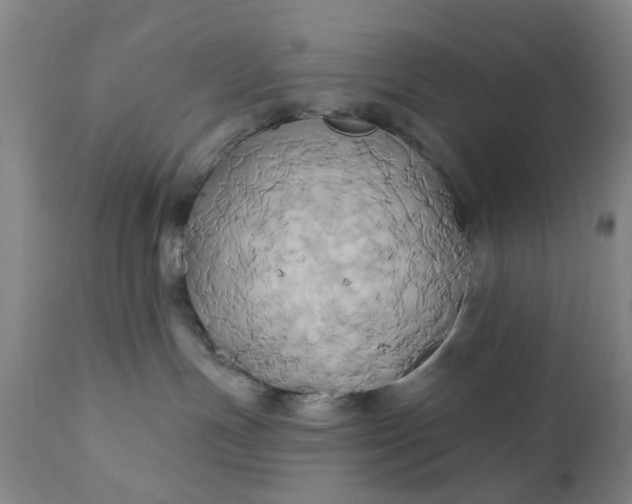 X0000110680191200906261329