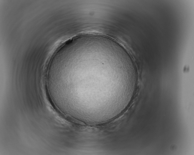 X0000110680193200906261329