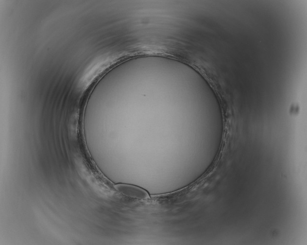 X0000110680194200906261329