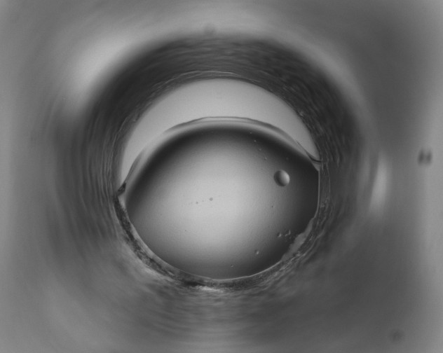 X0000110680195200906261328