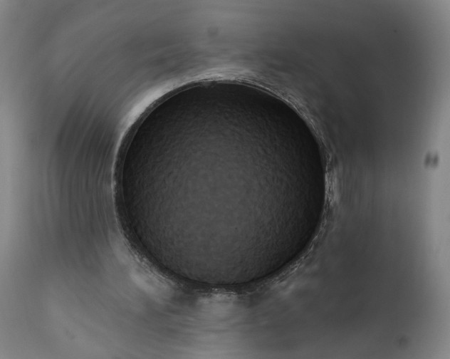 X0000110680196200906261328