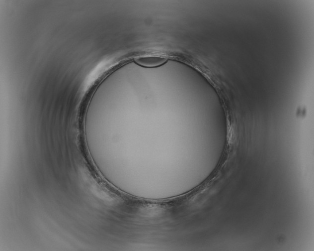 X0000110680198200906261328