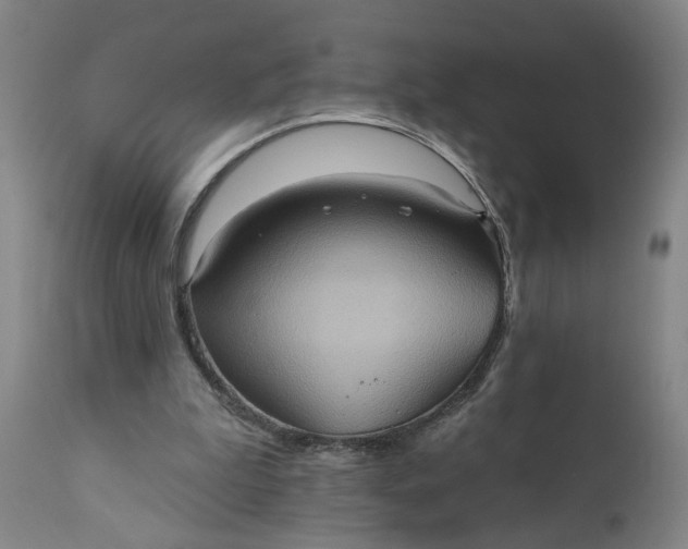 X0000110680199200906261328