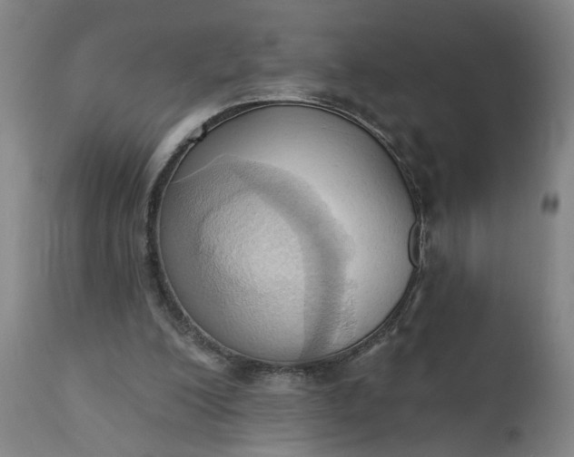 X0000110680200200906261328