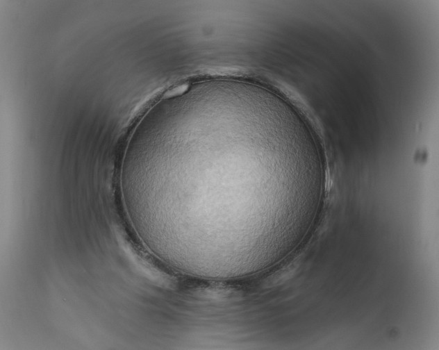 X0000110680201200906261328