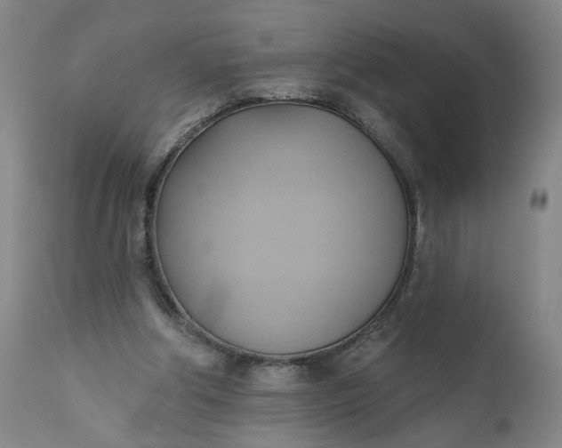 X0000110680202200906261328