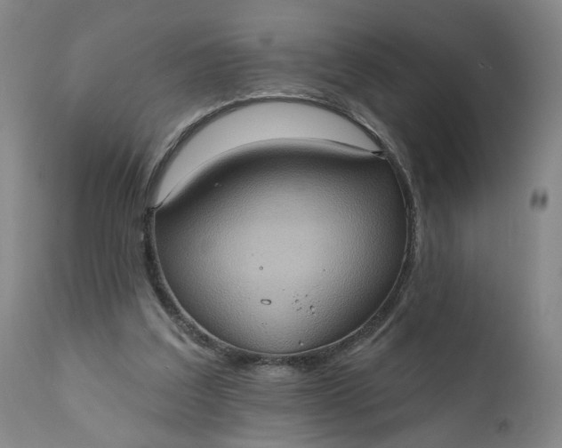 X0000110680203200906261328