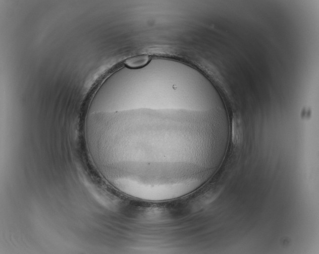 X0000110680204200906261328