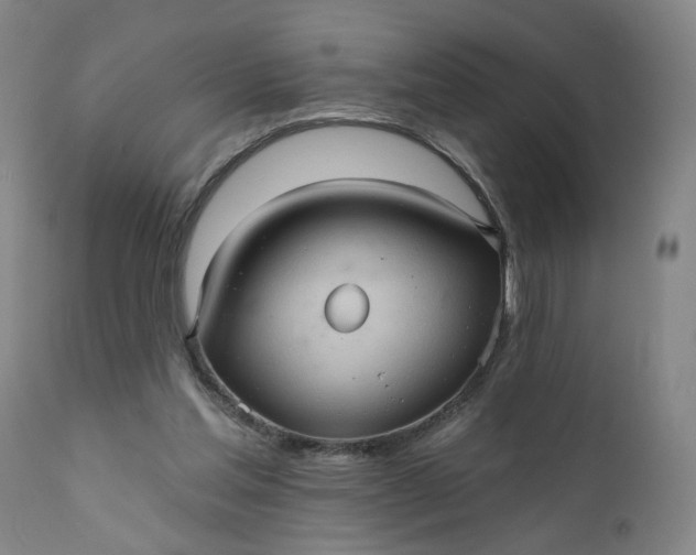 X0000110680205200906261328