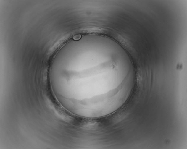 X0000110680206200906261328