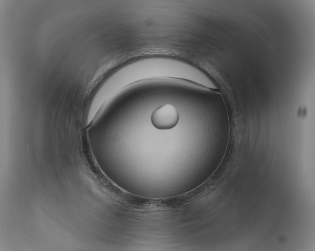 X0000110680207200906261328