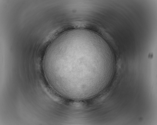 X0000110680209200906261328