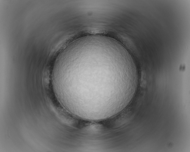 X0000110680210200906261328