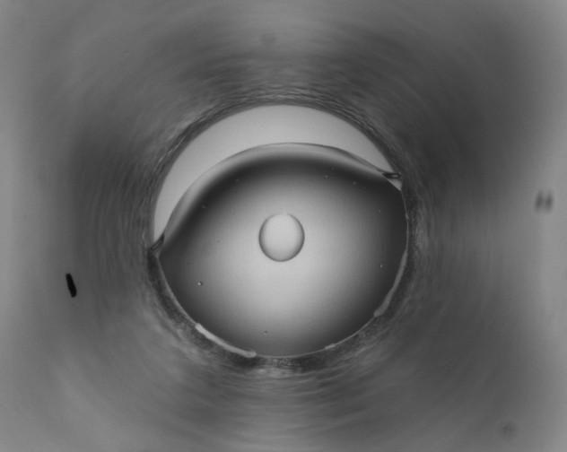 X0000110680211200906261328