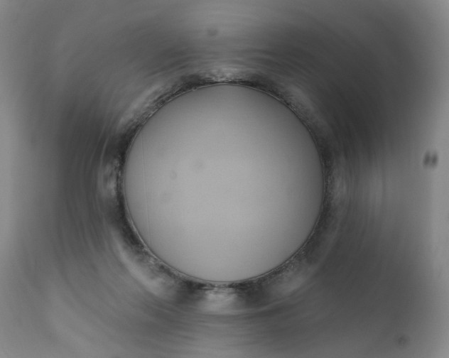 X0000110680214200906261328