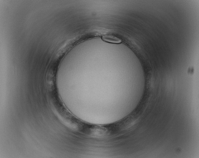 X0000110680215200906261328