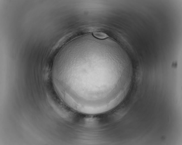 X0000110680216200906261328