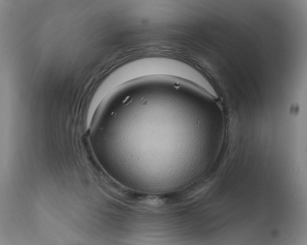 X0000110680217200906261328