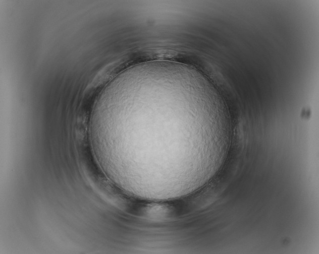 X0000110680218200906261328