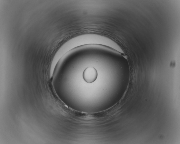 X0000110680219200906261328