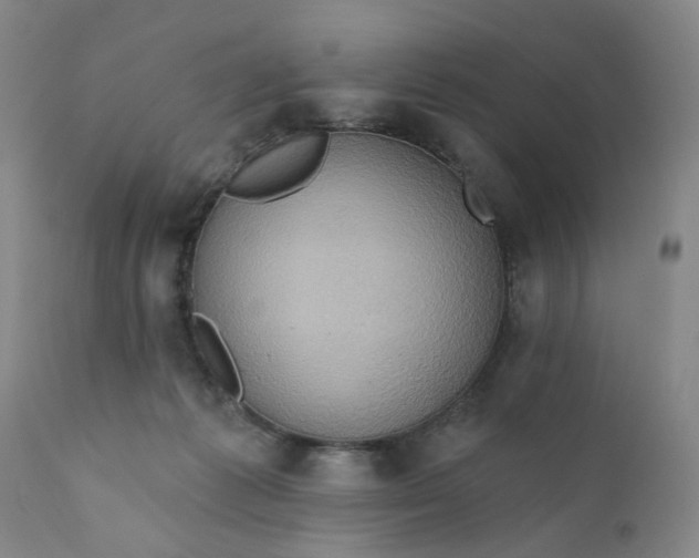 X0000110680221200906261328