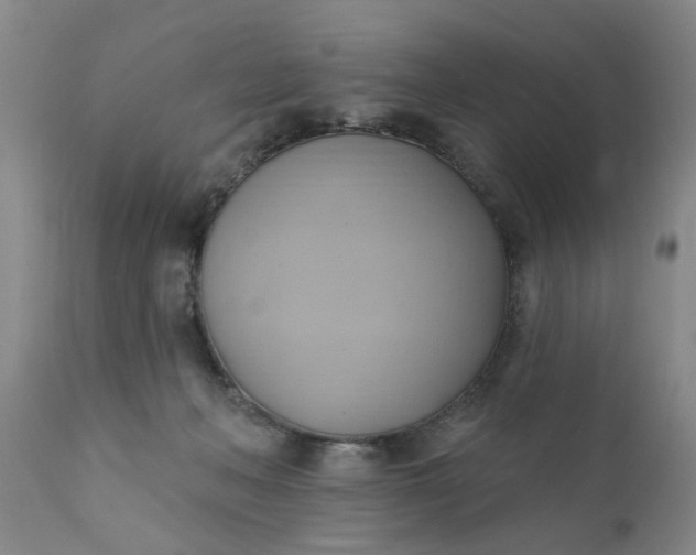 X0000110680222200906261328