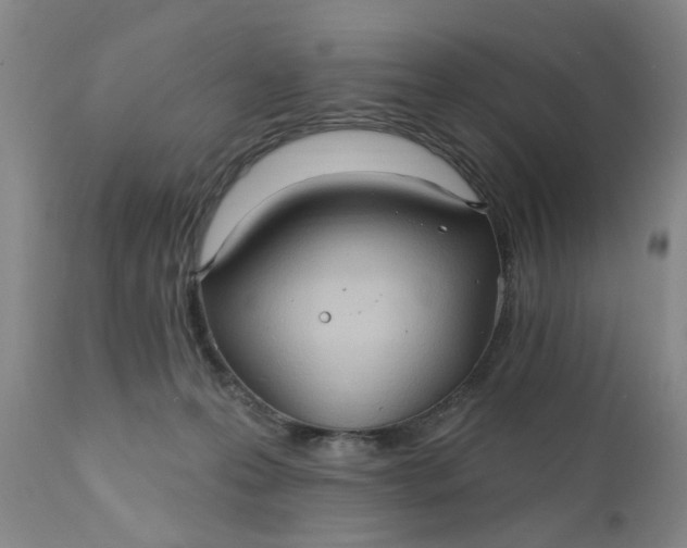 X0000110680223200906261328