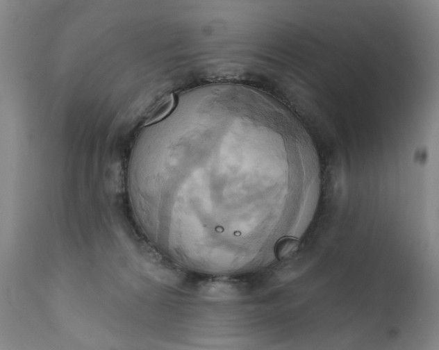 X0000110680224200906261328