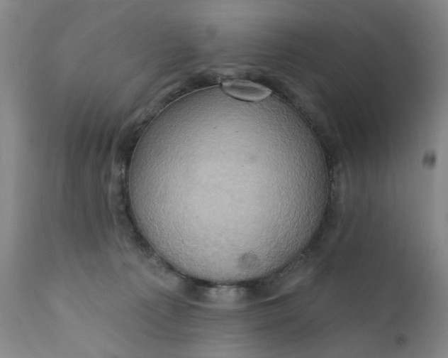 X0000110680225200906261328