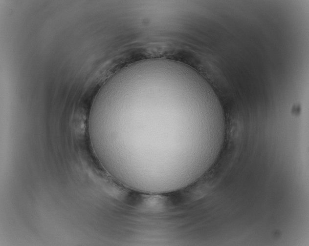 X0000110680226200906261328