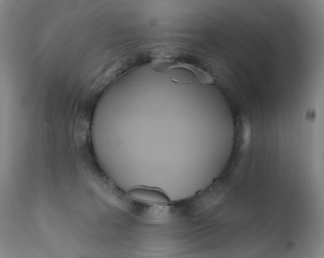 X0000110680227200906261328