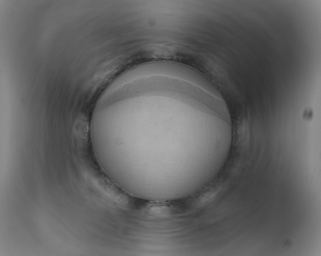 X0000110680228200906261328