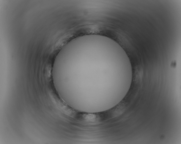 X0000110680230200906261328