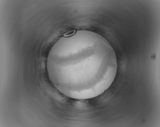 X0000110680232200906261328